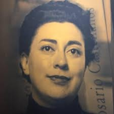 Banquete Del Dr. Zagal