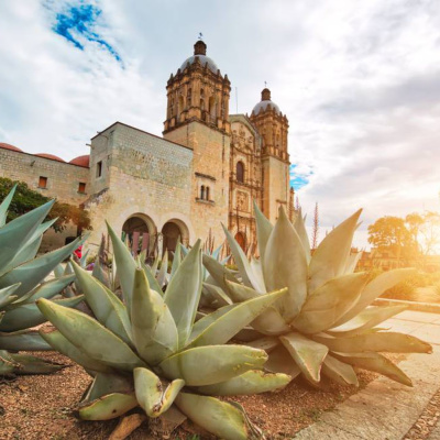Banquete Del Dr. Zagal