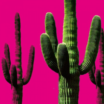 Banquete Del Dr. Zagal