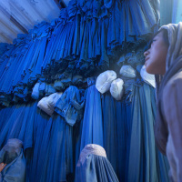 20 giugno 2023 - Notiziario in genere