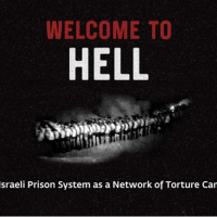 7 agosto 2024 - Notiziario Mondo