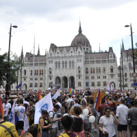 15 aprile 2025 - Notiziario in genere