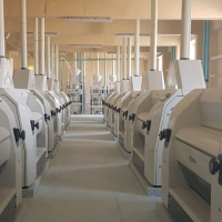 30 gennaio 2023 - Notiziario Mondo