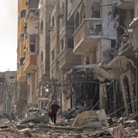 24 ottobre 2023 - Notiziario in genere