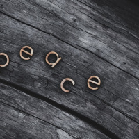 15 giugno 2022 - Notiziario