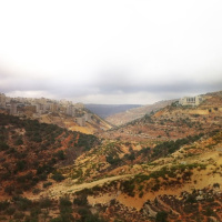 4 luglio 2024 - Notiziario Mondo