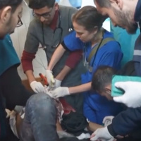 28 marzo 2024 - Notiziario Mondo