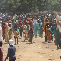 25 luglio 2023 - Notiziario in genere