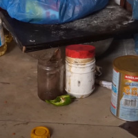 15 maggio 2025 - Notiziario Mondo