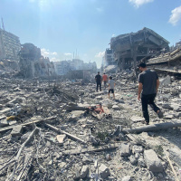 13 febbraio 2024 - Notiziario in genere