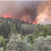 1 maggio 2025 - Notiziario Mondo