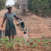 4 settembre 2025 - Notiziario Africa