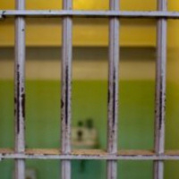 12 luglio 2022 - Notiziario in genere