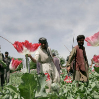 31 marzo 2023 - Notiziario Mondo