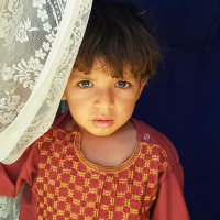 1 marzo 2023 - Notiziario Mondo