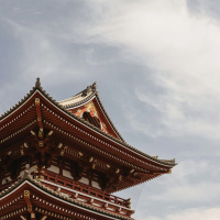 21 gennaio 2025 - Notiziario in genere