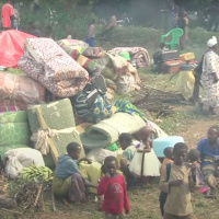 2 novembre 2023 - Notiziario Africa