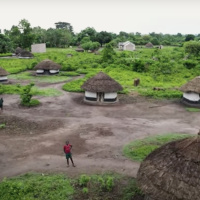 3 dicembre 2024 - Notiziario in genere