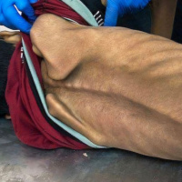 23 luglio 2025 - Notiziario Mondo