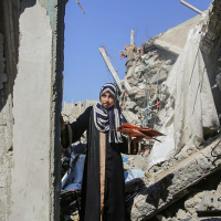 29 luglio 2025 - Notiziario in genere