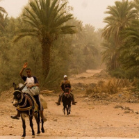 28 dicembre 2023 - Notiziario Africa