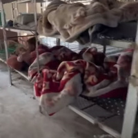 19 febbraio 2024 - Notiziario Mondo