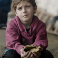 26 febbraio 2024 - Notiziario Mondo