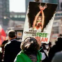 30 novembre 2022 - Notiziario