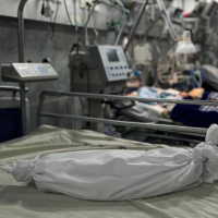 29 febbraio 2024 - Notiziario Mondo