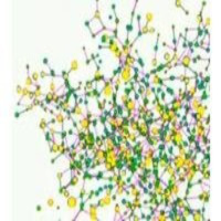 El poder de las redes sociales (Redes #90)