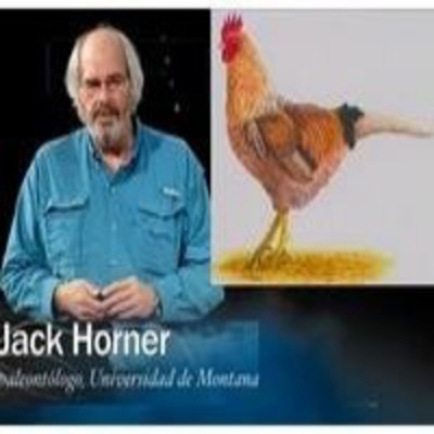 Redes (eduard Punset)