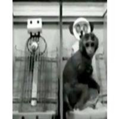 Redes (eduard Punset)