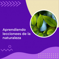 Aprendiendo lecciones de la naturaleza | Tu Dra. Isabel - El Ángel de La Radio |