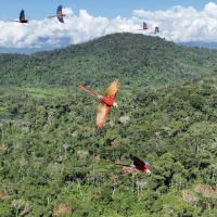 Christiana Figueres helped deliver the Paris Agreement and remains optimistic on climate action
