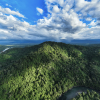 Everything you need to know to save the Amazon