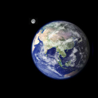 Report from the Climate Talks in Marrakesh and Salamander Conservation in Michoacan, Mexico