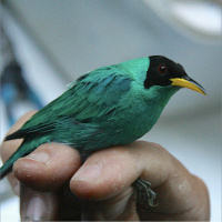 Outstanding in the field: researchers head out for a new season