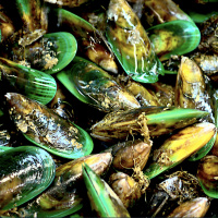 Indigenous and ingenious aquaculture from the distant past to today