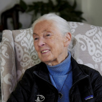 Jane Goodall on turning 90 and building empathy for nature