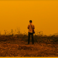 Mongabay Explores Sumatra: Restoration for peats sake