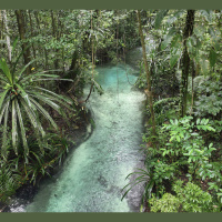 Cultural survival through reclaiming language and land, with author Jay Griffiths