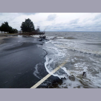 Author and climate historian Naomi Oreskes on why scientists should speak out