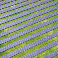 Sacrificing U.S. forests for solar energy misses the plot on climate action