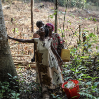 The barefoot lawyers helping Indigenous and local communities reclaim their land