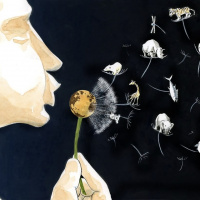 Mongabay Reports: Can celebrities ‘rewrite extinction’?