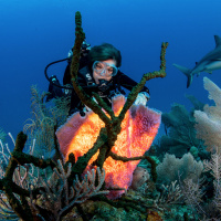 Renowned marine biologist Sylvia Earle on acting for the oceans