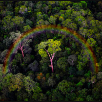 Inspiration for the 50th anniversary of Earth Day amid a global pandemic