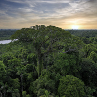 How to change harmful narratives about nature and society