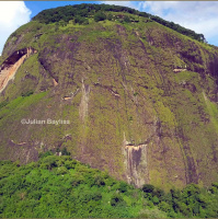 How to discover an untouched rainforest