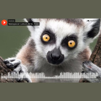 A wildlife DJ and a children’s book author inspiring the next generation of conservationists